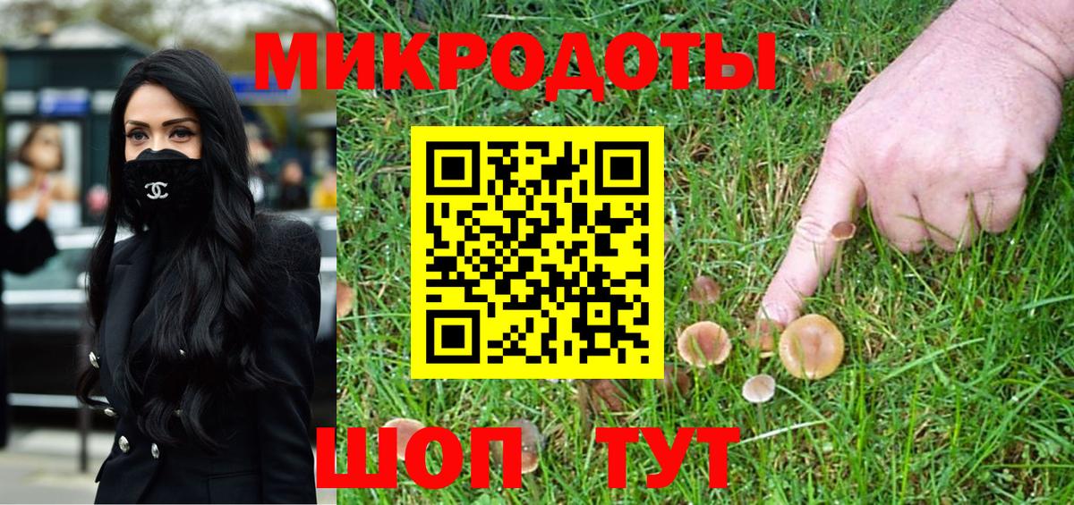 Псилоцибиновые грибы Psilocybe Славгород