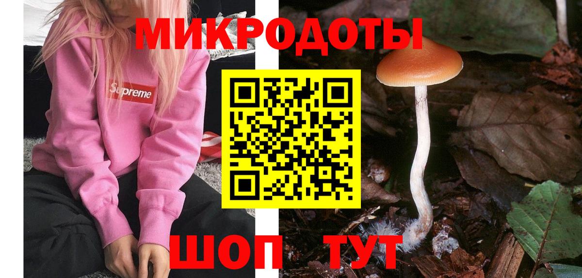Псилоцибиновые грибы ЛСД  Вход с VPN  купить  цена  Псилоцибиновые грибы Psilocybe  Славгород 